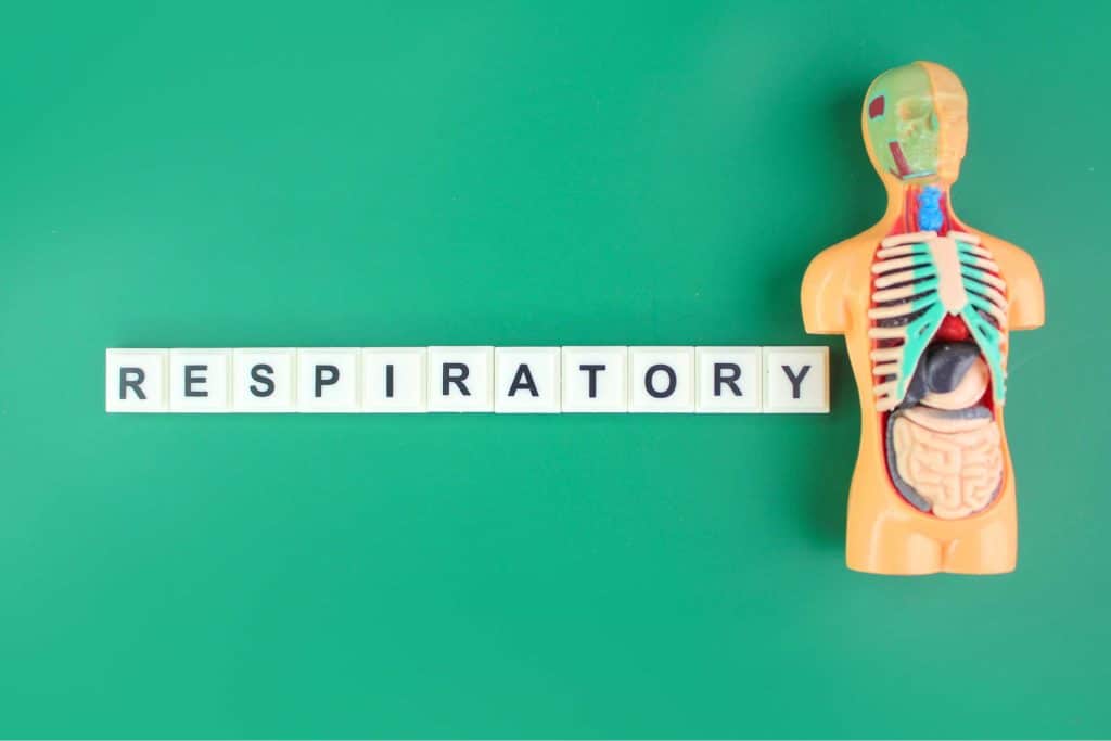 Respiratory Health and ayurveda